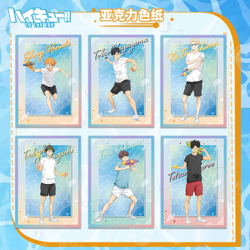 Haikyuu Pallavolo Anime Acrili - Anime Merchandise Haikyuu recensione e prezzo