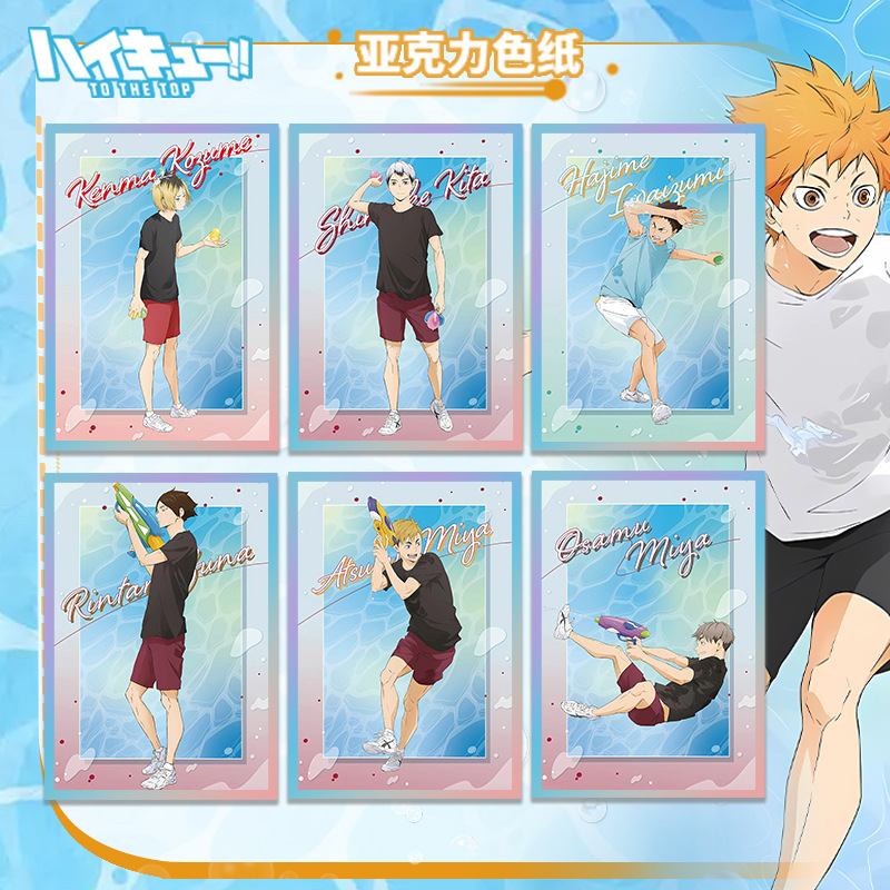 Haikyuu Pallavolo Anime Acrili - Anime Merchandise Haikyuu recensione e prezzo