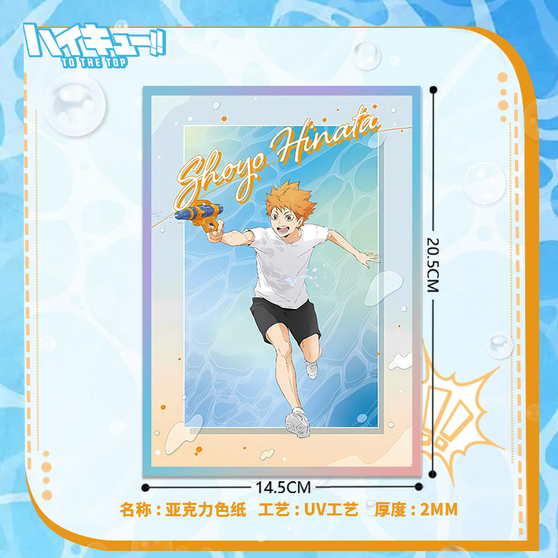 Haikyuu Pallavolo Anime Acrili - Anime Merchandise Haikyuu recensione e prezzo