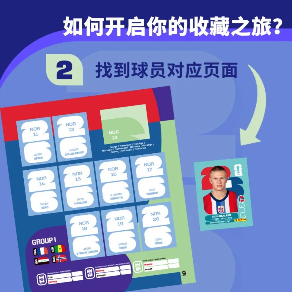 Collezione di Adesivi Panini p - Sticker Sheet Set recensione e prezzo